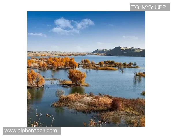 探索阿拉巴的历史文化与自然风光之美,感受独特的地域魅力与人文情怀