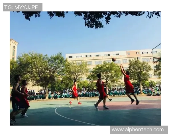 泉州篮球明星的崛起与发展探索见证城市与运动的激情交融